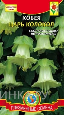 Семена Кобея Царь Колокол