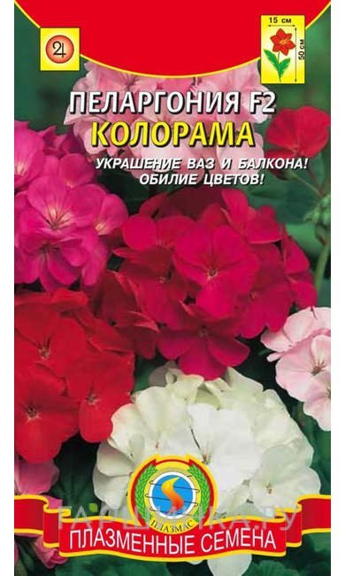 Семена Пеларгония F2 Колорама