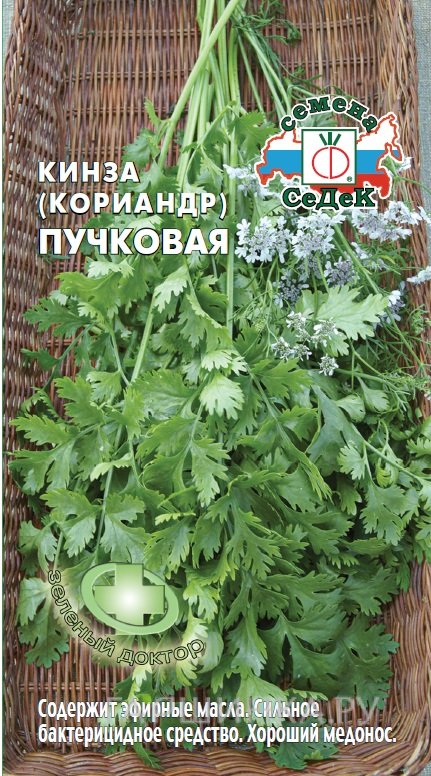 Семена Кориандр Кинза пучковая