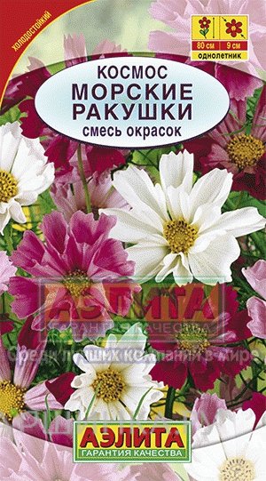 Семена Космос Морские ракушки, смесь окрасок
