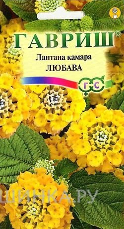 Семена Лантана Камара Любава* 0,1г