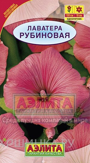 Семена Лаватера Рубиновая