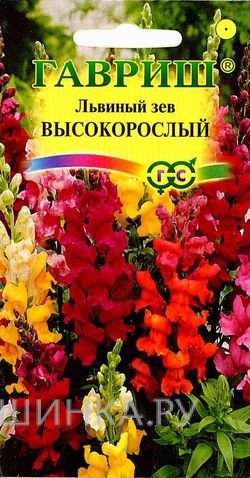 Семена Львиный зев высокорослый*, смесь 0,1 г
