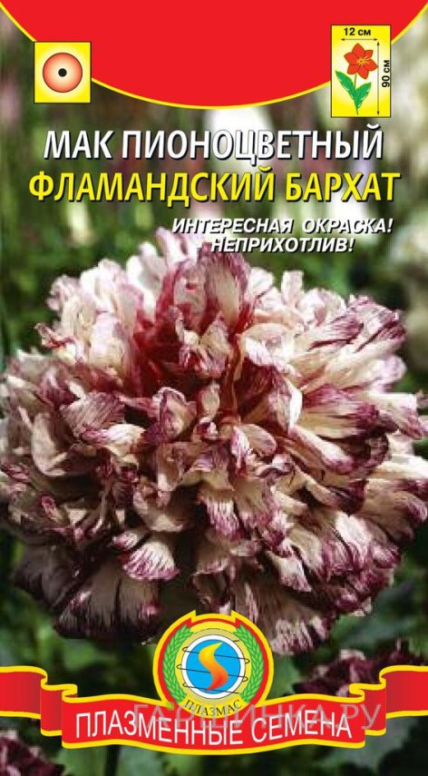 Семена Мак Фламандский бархат пионоцветный