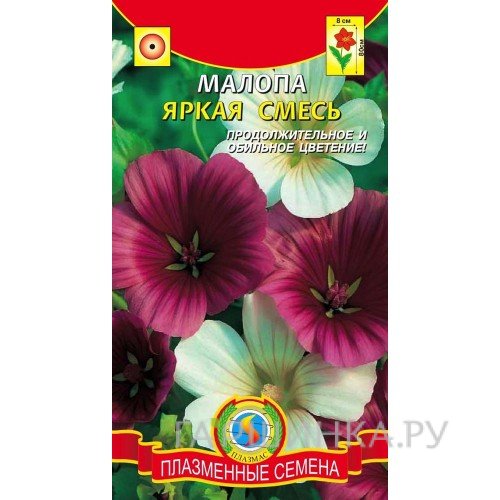Семена Малопа яркая смесь