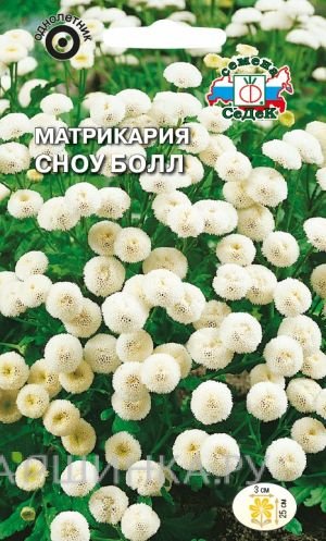 Семена Матрикария Сноу болл