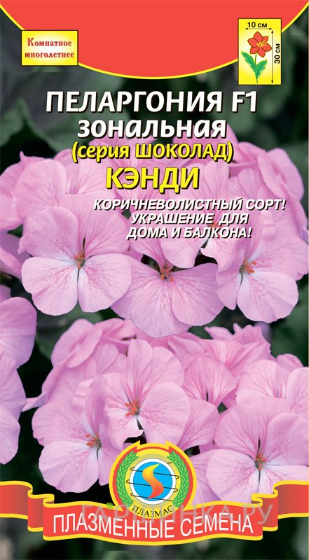 Семена Пеларгония F1 зональная (серия Шоколад) Кэнди