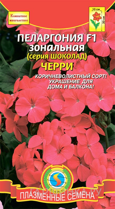 Семена Пеларгония F1 зональная (серия Шоколад) Черри