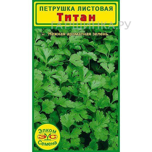 Семена Петрушка листовая Титан (2 гр.)