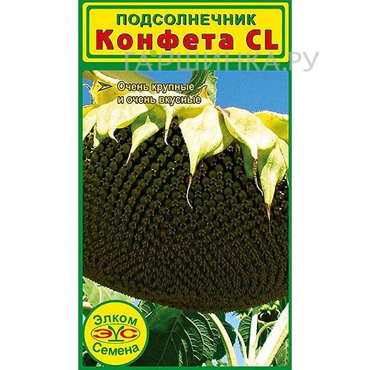 Семена Подсолнечник Конфета CL (3 гр.)