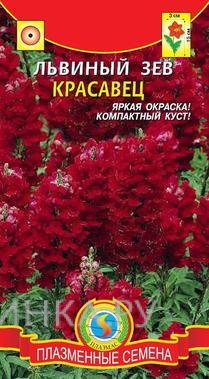 Семена Львиный зев карликовый Красавец