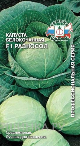 Семена Капуста б/к Разносол F1 (Б/К) (Евро, 0,3, 5829)