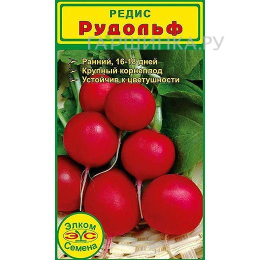 Семена Редис Рудольф (1 гр.)
