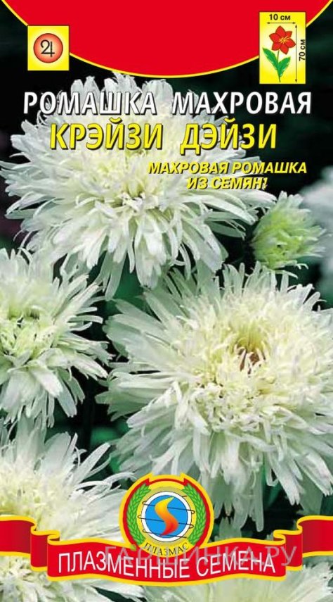 Семена Ромашка махровая Крэйзи Дэйзи