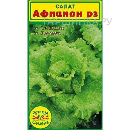 Семена Салат Афицион рз (0,1 гр.)