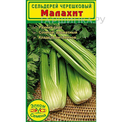 Семена Сельдерей черешковый Малахит (0,5 гр.)