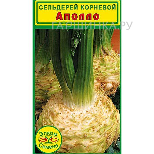 Семена Сельдерей корневой Аполло (0,5 гр.)