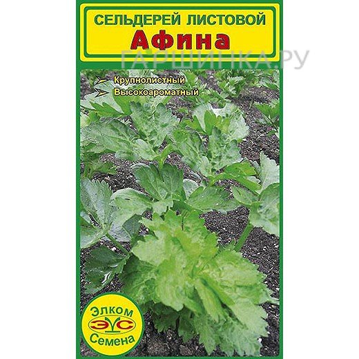 Семена Сельдерей листовой Афина (1 гр.)