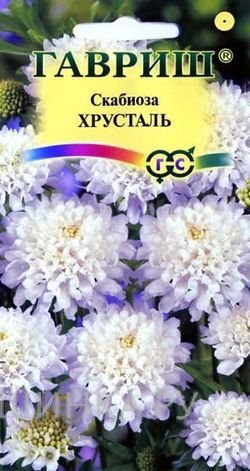Семена Скабиоза пурпурная Хрусталь, махр. 0,5 г