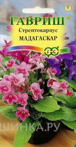 Семена Стрептокарпус гибридный Мадагаскар, смесь 5 шт. гранул. пробирка