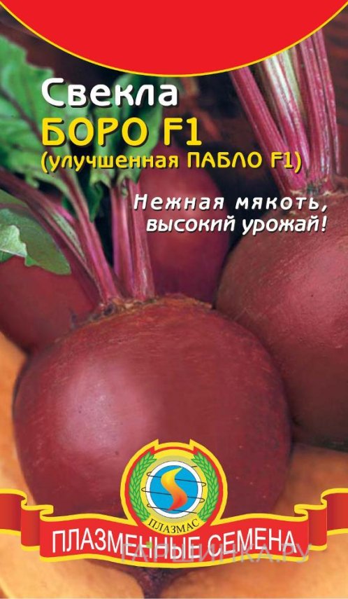 Семена Свекла Боро F1