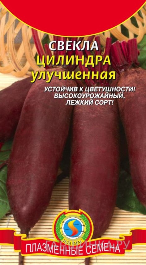 Семена Свекла Цилиндра