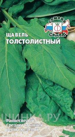 Семена Щавель Толстолистный 0,5г