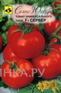 Семена Томат Сервер F1