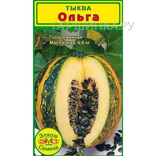 Семена Тыква голосемянная Ольга (5 сем.)