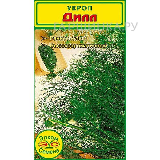 Семена Укроп Дилл (2 гр.)