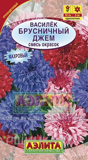 Семена Василек Брусничный джем махровый