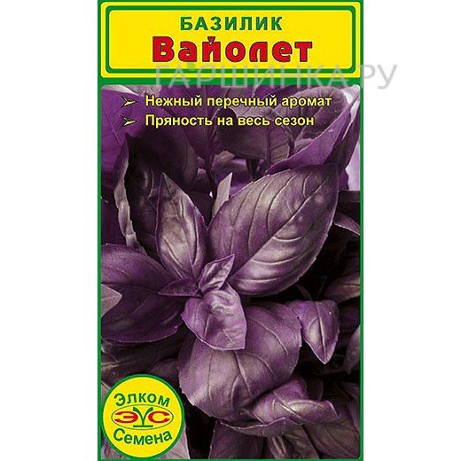 Семена Базилик Вайолет (0,5 гр.)