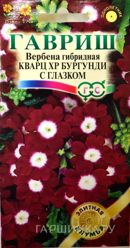 Семена Вербена Кварц ХР Бургунди с глазком, гибридная 5 шт