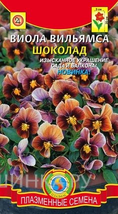Семена Виола вильямса (серия Велюр) Шоколад