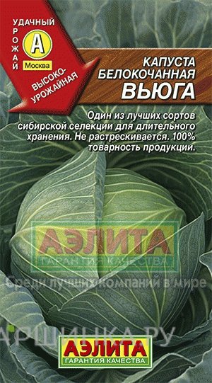 Семена Капуста б/к Вьюга, ц/п