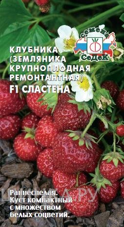 Семена Клубника Сластена F1