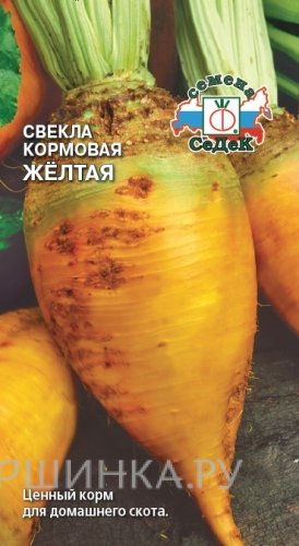 Семена Свекла Кормовая Жёлтая