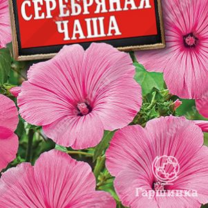 

Семена Лаватера Серебряная чаша ЦП