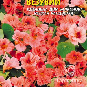 

Семена Настурция Везувий ц.п. 9 шт