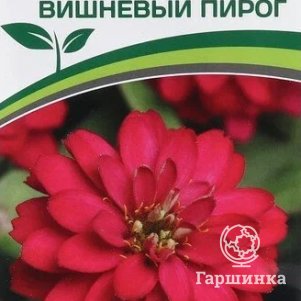 

Семена Цинния махровая "Барышня-крестьянка" Вишневый Пирог 5 шт. Партнер