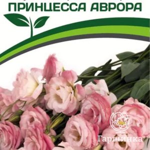 

Семена Эустома F1 махровая Принцесса Аврора бело-розовая 5, Партнер