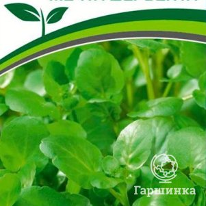 

Семена Кресс-салат "Мечта Дербента" 3 гр, Партнер
