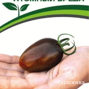 

Семена Томат Атомный Бреда 0,05 гр. Партнер