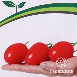

Семена Томат Фифа F1 5. Партнер