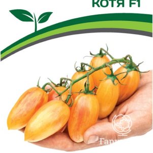 

Семена Томат Котя F1 10. Партнер