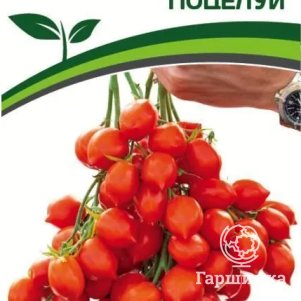 

Семена Томат Поцелуй 10. Партнер
