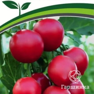 

Семена Томат Принцесса F1 10. Партнер