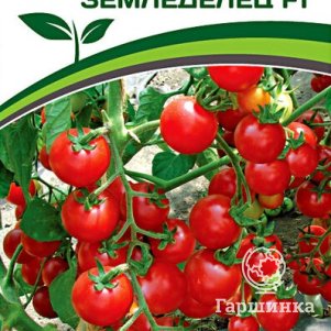 

Семена Томат Земледелец F1 0,05 гр. Партнер