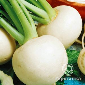 

Семена Репа Орбита 1г