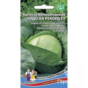 

Семена Капуста Чудо на рекорд ЦП 0,3гр